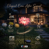 Solar Chrysanthemum Flower Garden Lights Set of 2