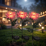 Solar Chrysanthemum Flower Garden Lights Set of 2