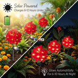 Solar Poinsettia Flower Garden Lights Set of 2