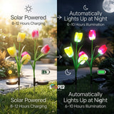 Solar Tulip Flower Garden Lights Set of 2