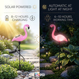Solar Flamingo Garden Light