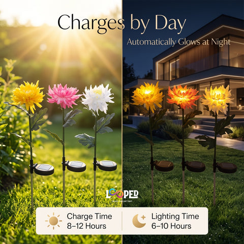 Solar Chrysanthemum Flower Garden Lights Set of 2