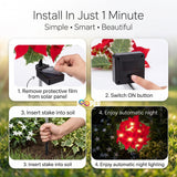 Solar Poinsettia Flower Garden Lights Set of 2