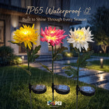 Solar Chrysanthemum Flower Garden Lights Set of 2
