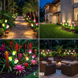 Solar Tulip Flower Garden Lights Set of 2