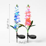 Solar Gladiolus Flower Garden Lights Set of 2