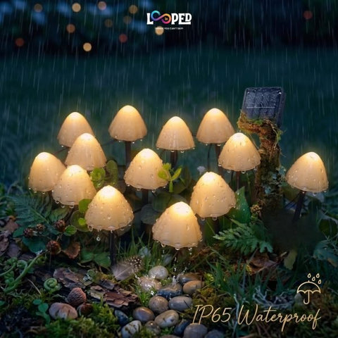 Set of 10 mini mushroom solar garden lights on pathway