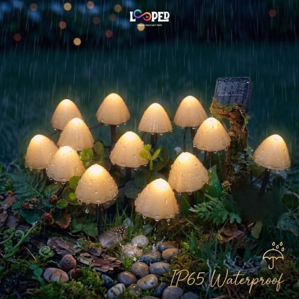 Set of 10 mini mushroom solar garden lights on pathway